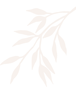 Healing Step reflexology