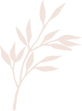 Healing Step reflexology