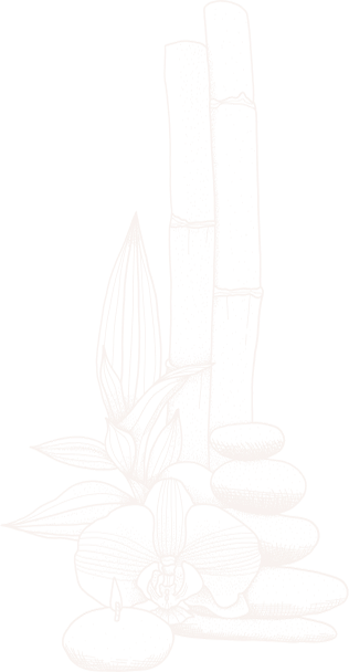 Healing Step reflexology