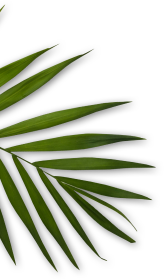 Healing Step reflexology